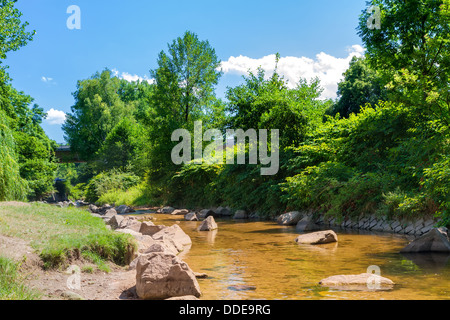 Der Bergfluss im Canyon in Baden-Baden. Europa, Deutschland. Stockfoto