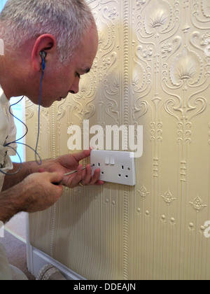 Traditionelle Dekoration, Dekorateur, Schrauben-Steckdose auf traditionelle Lincrusta Wandbelag Stockfoto