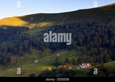 Tazha Hütte. Zentralen Balkan Nationalpark. Bulgarien. Stockfoto