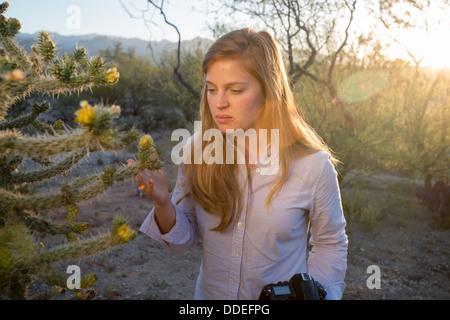 Tucson, AZ, Fotograf In Wüste Stockfoto