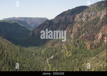 Sedona Arizona Hochebenen und bewaldeten Bergen Stockfoto