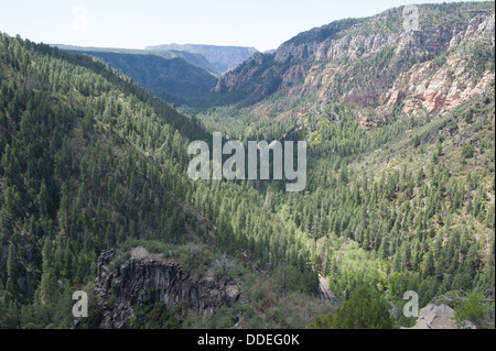 Sedona Arizona Hochebenen und bewaldeten Bergen Stockfoto