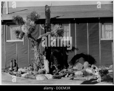 Manzanar Relocation Center, Manzanar, Kalifornien. William Katsuki, ehemaliger professioneller Landschaft Ga... 538153 Stockfoto