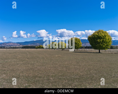 Dh tal Wairarapa WAIRARAPA NEUSEELAND Rimutaka range trockenen dürre Gras Feldern Landschaft landschaftlich schönen Himmel Stockfoto