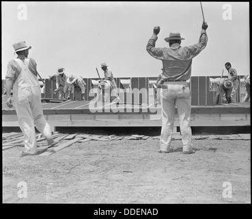 Poston, Arizona. Bau von Gebäuden für die evakuierten japanischer Abstammung bei diesem Krieg Relocation... 536294 Stockfoto