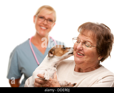 Glückliche ältere Frau mit ihrem Hund und Tierarzt hinter isoliert auf weißem Hintergrund. Stockfoto