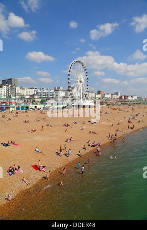 Brighton Beach an einem Sommertag East Sussex England UK Stockfoto