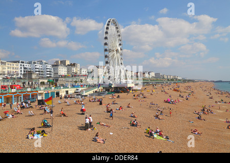 Urlauber Sonnenbaden am Strand von Brighton an einem sonnigen Sommertag, East Sussex, Großbritannien Stockfoto