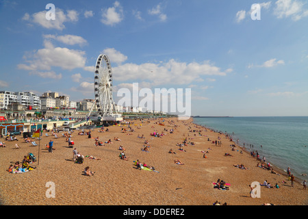 Brighton Beach an einem Sommertag Stockfoto