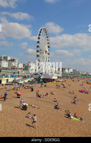 Brighton Beach an einem Sommertag Stockfoto