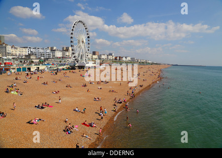 Brighton Beach an einem Sommertag Stockfoto