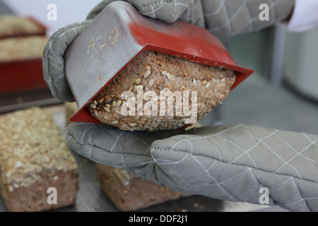 Frisch gebackenes Vollkornbrot mit Sonnenblumenkernen in einer Bäckerei beschichtet Stockfoto