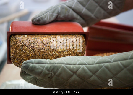 Frisch gebackenes Vollkornbrot mit Sonnenblumenkernen in einer Bäckerei beschichtet Stockfoto