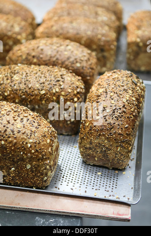 Frisch gebackenes Vollkornbrot mit Sonnenblumenkernen in einer Bäckerei beschichtet Stockfoto