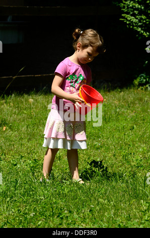 Kleine Mädchen spielen im sonnigen park Stockfoto