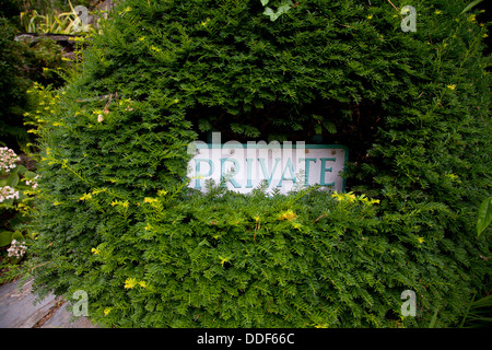 Detail der privaten Metall Beschilderung eingelassen eine Liguster oder Box Hecke in der Nähe der zentralen Piazza in Portmeirion Stockfoto