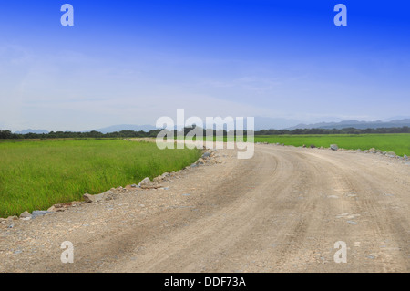 Landstraße mitten auf einem Feld mit grünem Rasen und ein blauer Himmel Stockfoto