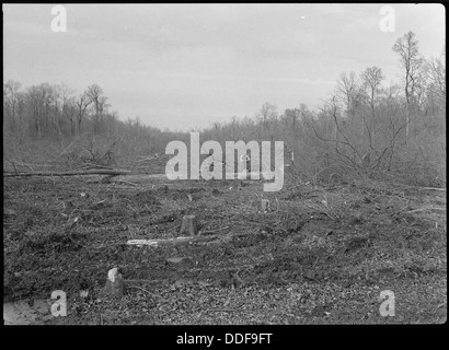 Ein Blick auf das Wegerecht im Jerome Relocation Center in Dermott, Arkansas, mit dem Holz, das im Rahmen der Internierung während des Zweiten Weltkriegs gefällt wurde Stockfoto