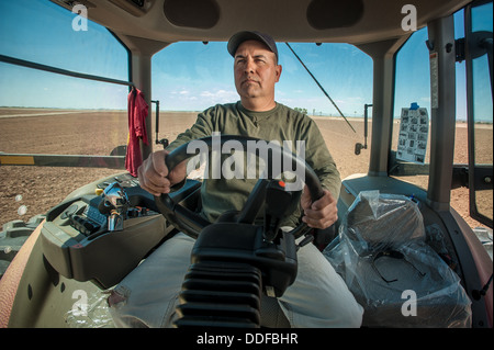 Traktor Pflügen im Feld Maricopa, Arizona Stockfoto