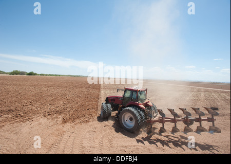 Traktor Pflügen im Feld Maricopa, Arizona Stockfoto