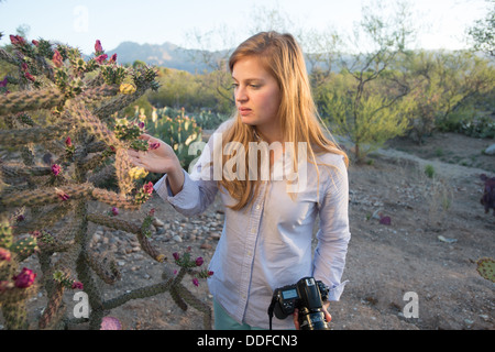 Fotograf In der Wüste, Tucson, AZ Stockfoto