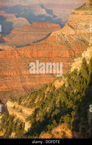 Sedona Arizona Hochebenen und bewaldeten Bergen Stockfoto