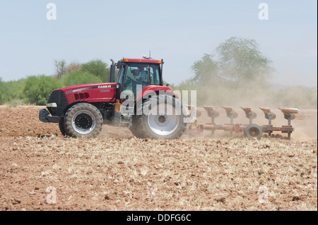 Traktor Pflügen im Feld Maricopa, Arizona Stockfoto