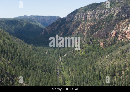 Sedona Arizona Hochebenen und bewaldeten Bergen Stockfoto