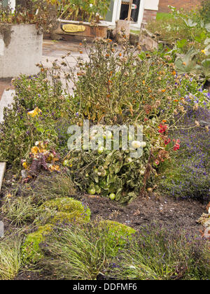 Leyland, Lancashire, UK, 2. September 2013. Nachwirkungen des verheerenden Brand bei Leyland St. Mary's Catholic Technik College. © Sue Burton/Alamy News Stockfoto