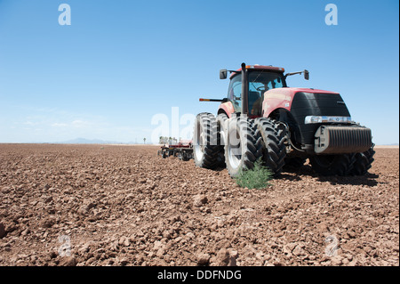 Traktor Pflügen im Feld Maricopa, Arizona Stockfoto