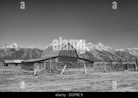 Die legendären John Moulton Gehöft in Grand Teton in Wyoming in den USA Stockfoto