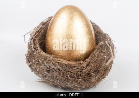 Ein goldenes Ei in das Nest des Vogels Stockfoto