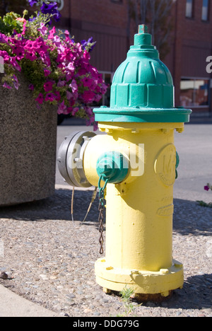 Gelbe und grüne Hydranten stehen auf einem Ellensburg Straße, Kittitas County, Washington WA, USA Stockfoto