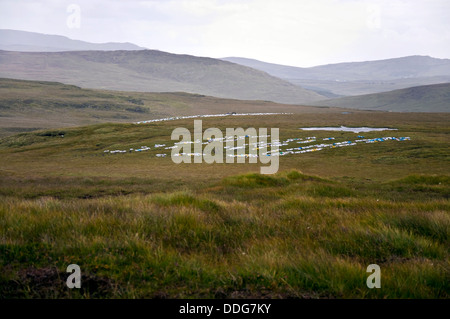 Plastiksäcke Taschen von getrockneten Torf erwartet-Sammlung auf einer Decke Moor in der Nähe von Glencomcille County Donegal Ireland Stockfoto