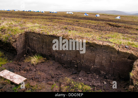 Plastiksäcke Taschen von getrockneten Torf warten auf Sammlung und Graben Gesicht der Schnitt auf einer Decke Moor in der Nähe von Glencomcille County Donegal Ireland Stockfoto