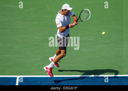 Novak Djokovic (SRB) im Wettbewerb um die 2013 US Open Tennis Championships. Stockfoto