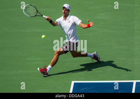 Novak Djokovic (SRB) im Wettbewerb um die 2013 US Open Tennis Championships. Stockfoto