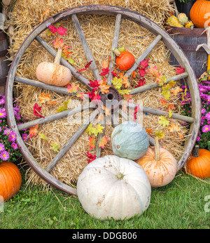 Herbst Bauernhof Anzeige von landwirtschaftlichen Erzeugnissen und ein altes Wagenrad. Stockfoto