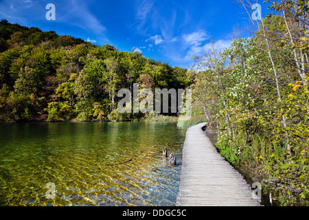 Plitvicer Seen-Nationalpark, Kroatien. See im Wald. Kristallklares Wasser. Stockfoto