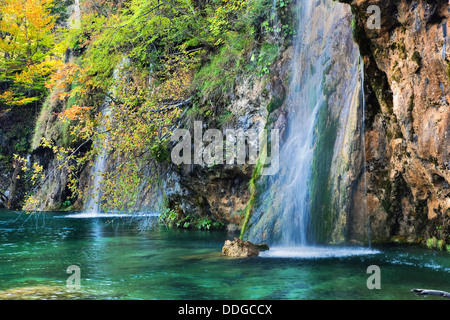 Wasserfall im Wald. Kristallklares Wasser. Nationalpark Plitvicer Seen, Kroatien Stockfoto