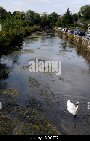 Fluß Coln, Bibury, Gloucestershire, Cotswolds, England, Vereinigtes Königreich Stockfoto