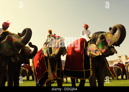 Mahouts mit Elefanten in Elephant Festival, Jaipur, Rajasthan, Indien Stockfoto