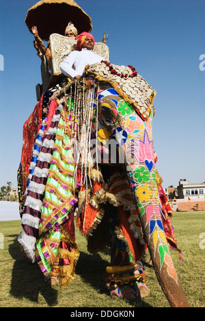 Mann in traditioneller Rajasthani königlichen Kleidung auf einem Elefanten, Elefant Festival, Jaipur, Rajasthan, Indien Stockfoto