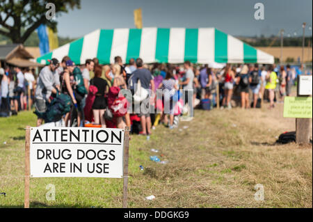 23. August 2013: ein Schild am Eingang des Brownstock Festival Warnung, daß die Droge, Hunde im Einsatz sein werden. Trotz einer null Toleranz gegenüber Drogen ein Mann gestorben ist und seine Freundin ist krank nach der Teilnahme an dem Festival in Essex. Es ist berichtet worden, dass Sie nahm 5 - Eapb. Die Substanz wurde über das Internet gekauft. Fotograf: Gordon Scammell/Alamy leben Nachrichten Stockfoto