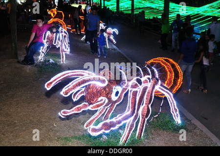 Alumbrado 2013 - Cristmas Beleuchtung in MEDELLIN. Abteilung von Antioquia. Kolumbien Stockfoto