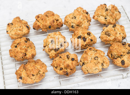 Rock-Kuchen - treffen Sie Ihre Wahl! Eine traditionelle britische Teatime kleine Obstkuchen mit Strömungen oder Rosinen auf Draht Kühlung rack Stockfoto