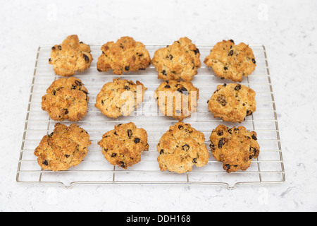 Rock-Kuchen - treffen Sie Ihre Wahl! Eine traditionelle britische Teatime kleine Obstkuchen mit Strömungen oder Rosinen auf Draht Kühlung rack Stockfoto