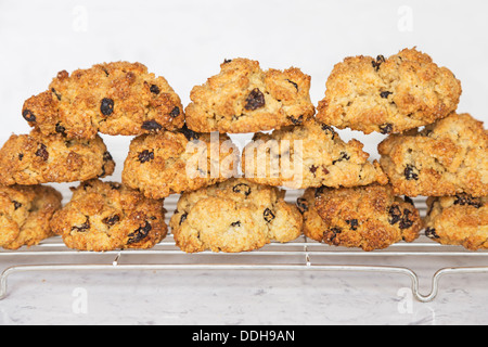 Rock-Kuchen - treffen Sie Ihre Wahl! Eine traditionelle britische Teatime kleine Obstkuchen mit Strömungen oder Rosinen auf Draht Kühlung rack Stockfoto