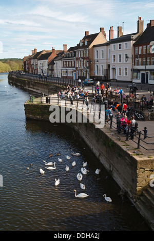 Touristen, die Fütterung von Schwänen auf den Fluss Severn bei Severnside South, Bewdley, Worcestershire, England Stockfoto