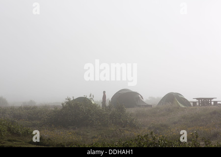 Zelte im Nebel auf dem Campingplatz an der See Thingvallavatn, Island Stockfoto